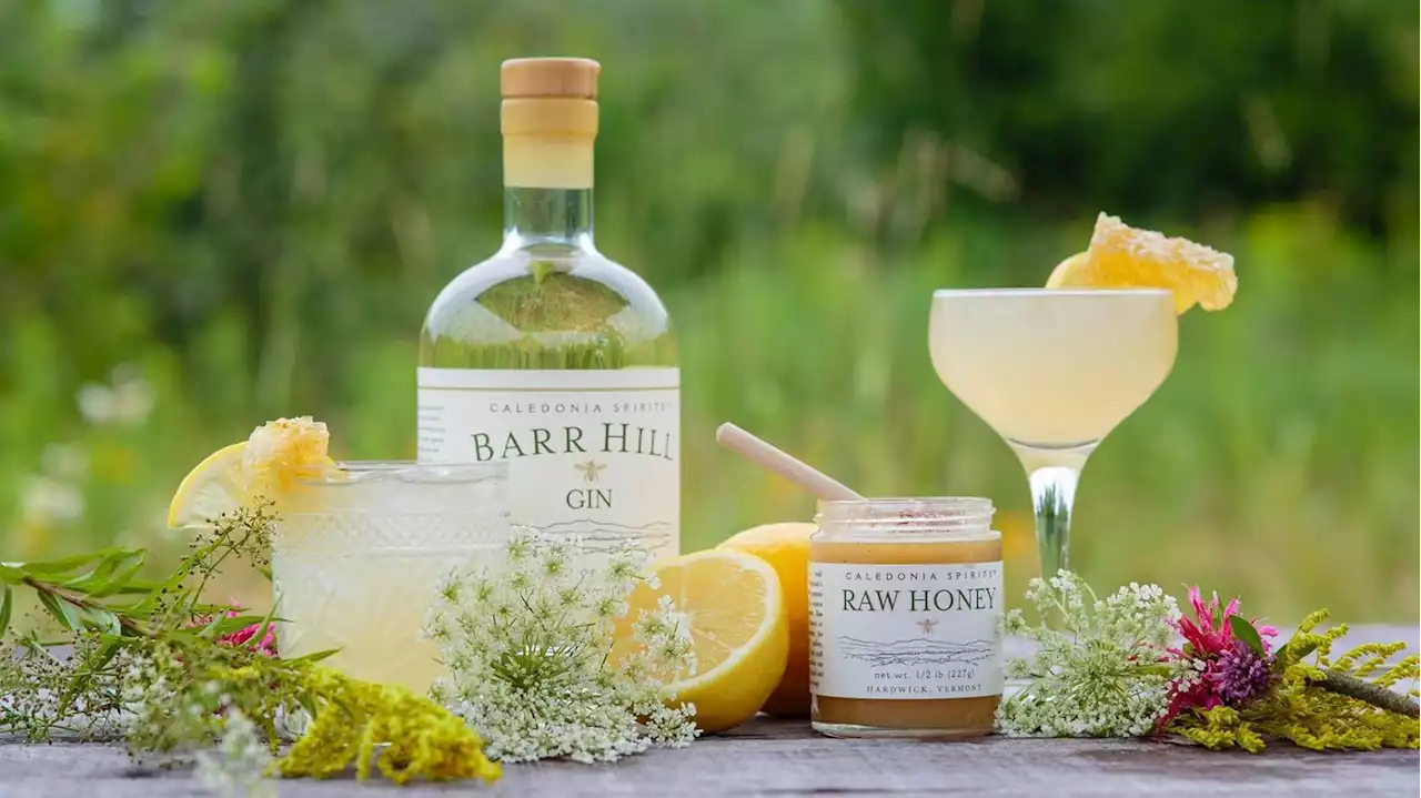 This honey-flavored gin makes the perfect Bee's Knees cocktail