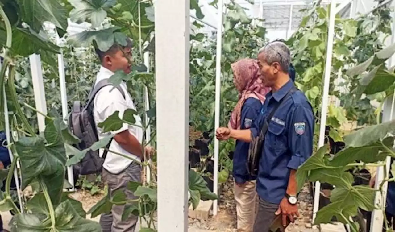 Smart Green House Polbangtan Jadi Percontohan Dinas Pertanian OKU Timur