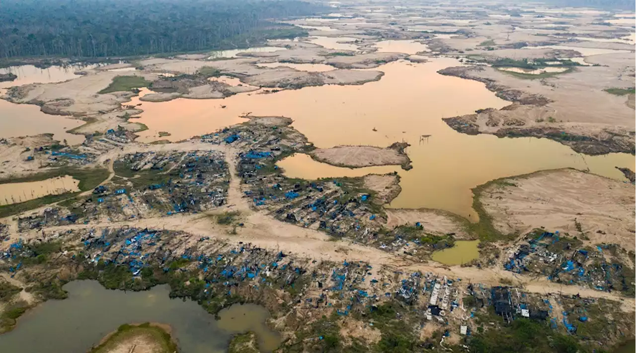 Interventions against illegal mining have a spillover effect on legal mining areas