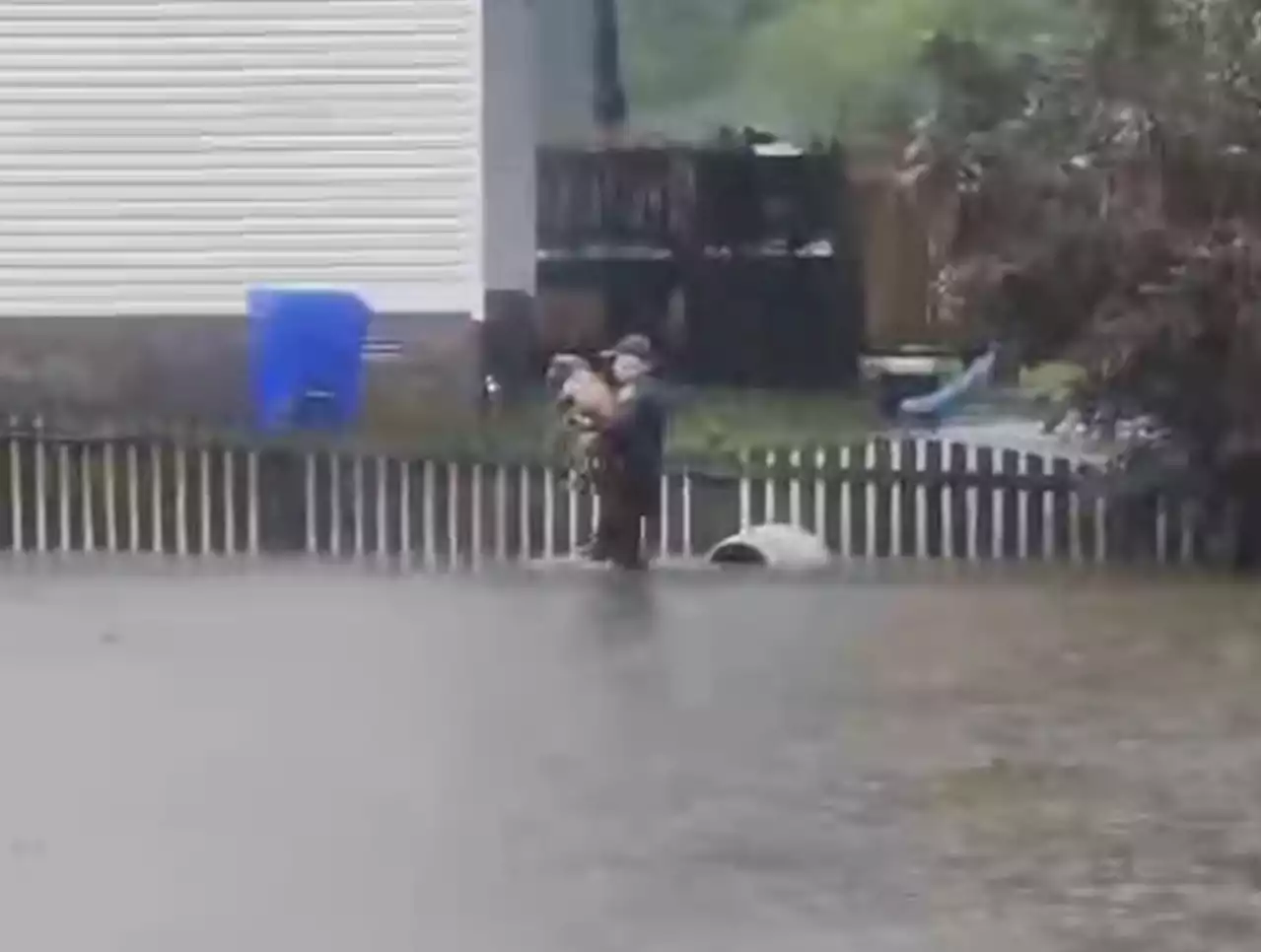 Video shows police officer save dog tied to fence amid Ophelia flooding