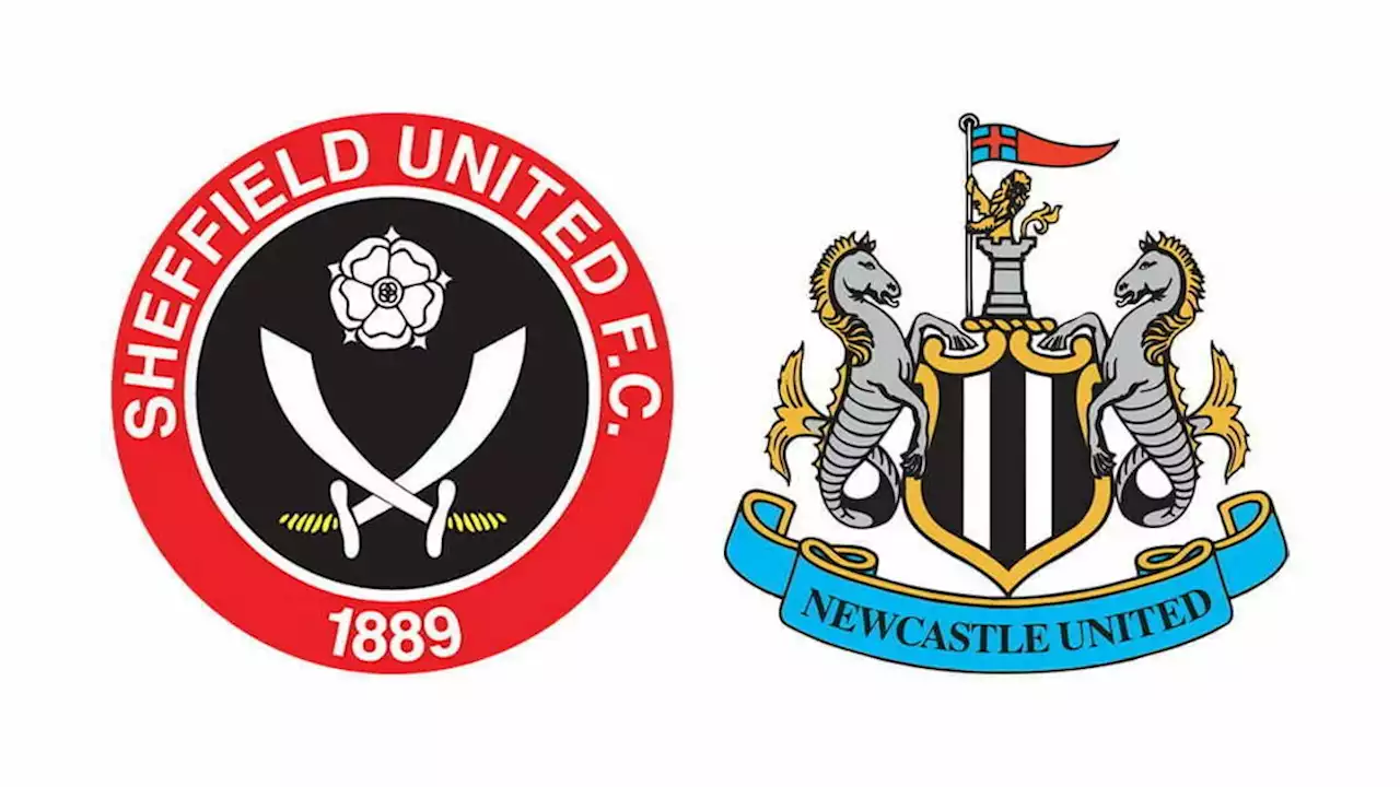 Confirmed Newcastle team v Sheffield United - Anderson, Barnes, Wilson, Botman all start