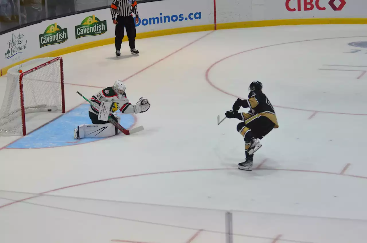 Charlottetown Islanders make a strong first impression for P.E.I. fans on opening weekend