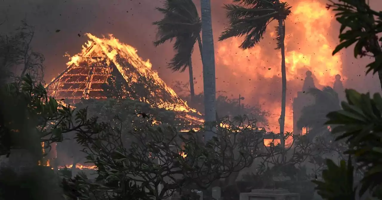 Residents prepare to return to sites of homes demolished in Lahaina wildfire 7 weeks ago