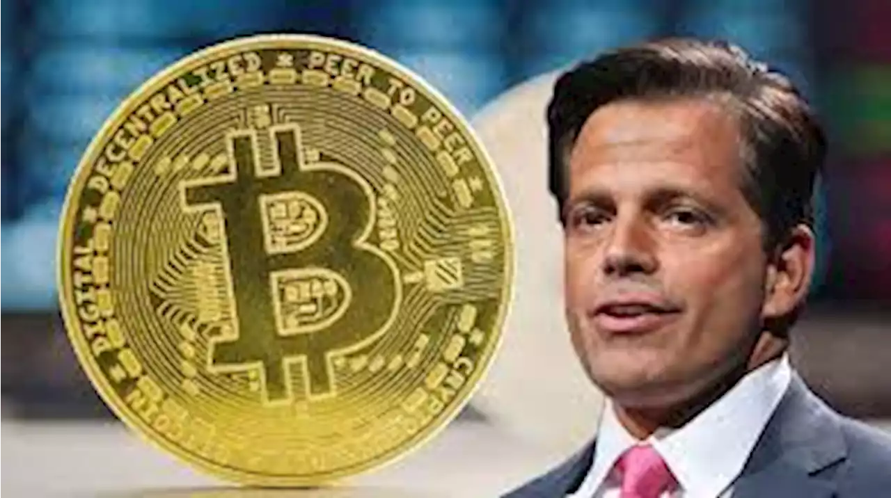 เหตุใด Anthony Scaramucci ยังคง bullish ใน Bitcoin แม้ตลาดจะยังอยู่ในช่วงขาลง