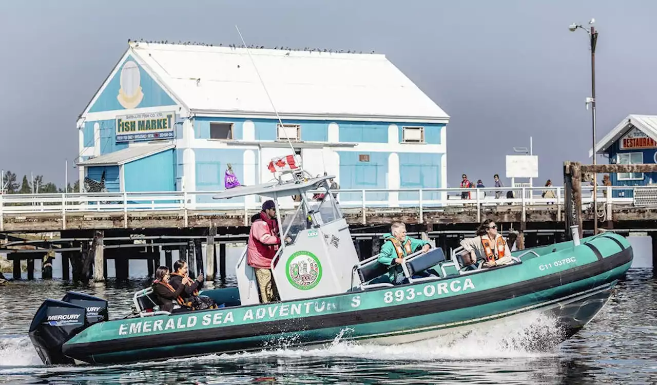 Tsawout Nation embarks on economic development push, from seaweed to whale-watching to construction