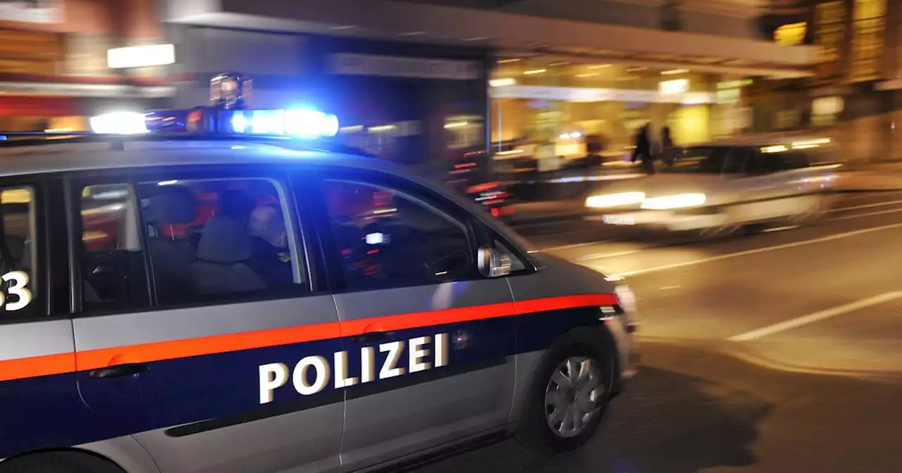 16-Jähriger mit nicht zugelassenem Mofa flüchtete vor Polizei und versteckte sich im Mais