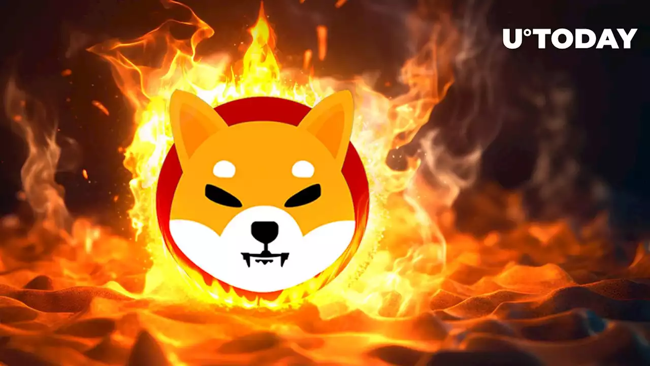 Shiba Inu Weekly Burn Rate Rises as Under 1 Billion SHIB Are Burned