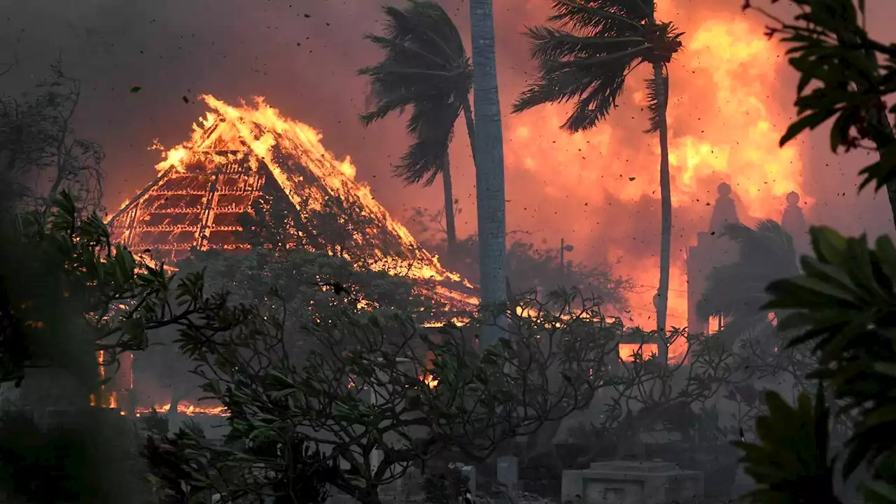 Residents prepare to return to sites of homes demolished in Lahaina wildfire 7 weeks ago