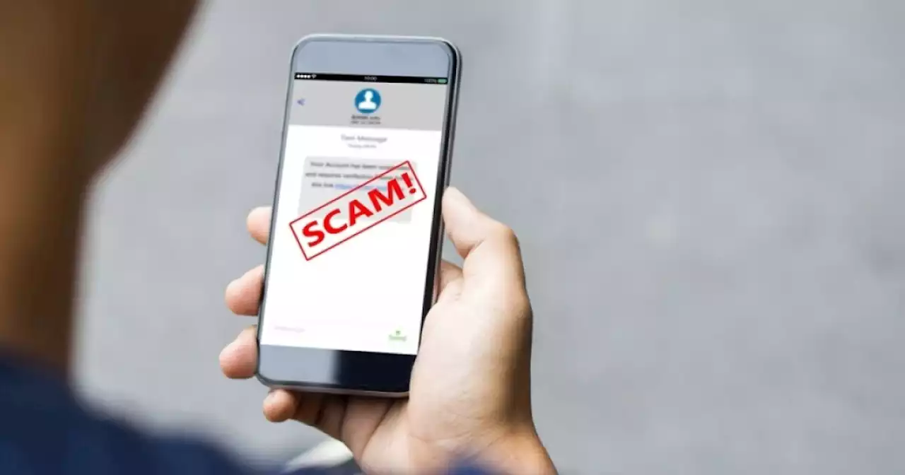 Why young people are more prone to online scams than boomers are