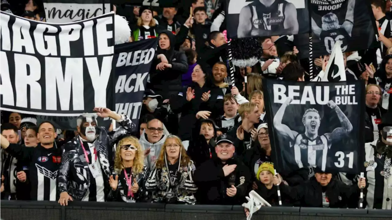 Collingwood ask for more grand final tickets amid ballot fiasco