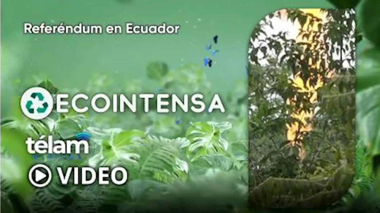 Ecointensa: referendum en Ecuador