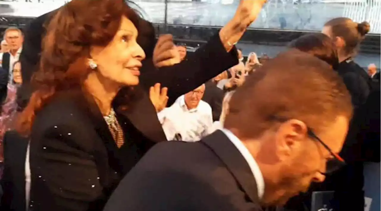 Sophia Loren operata, è buono il decorso post operatorio - People