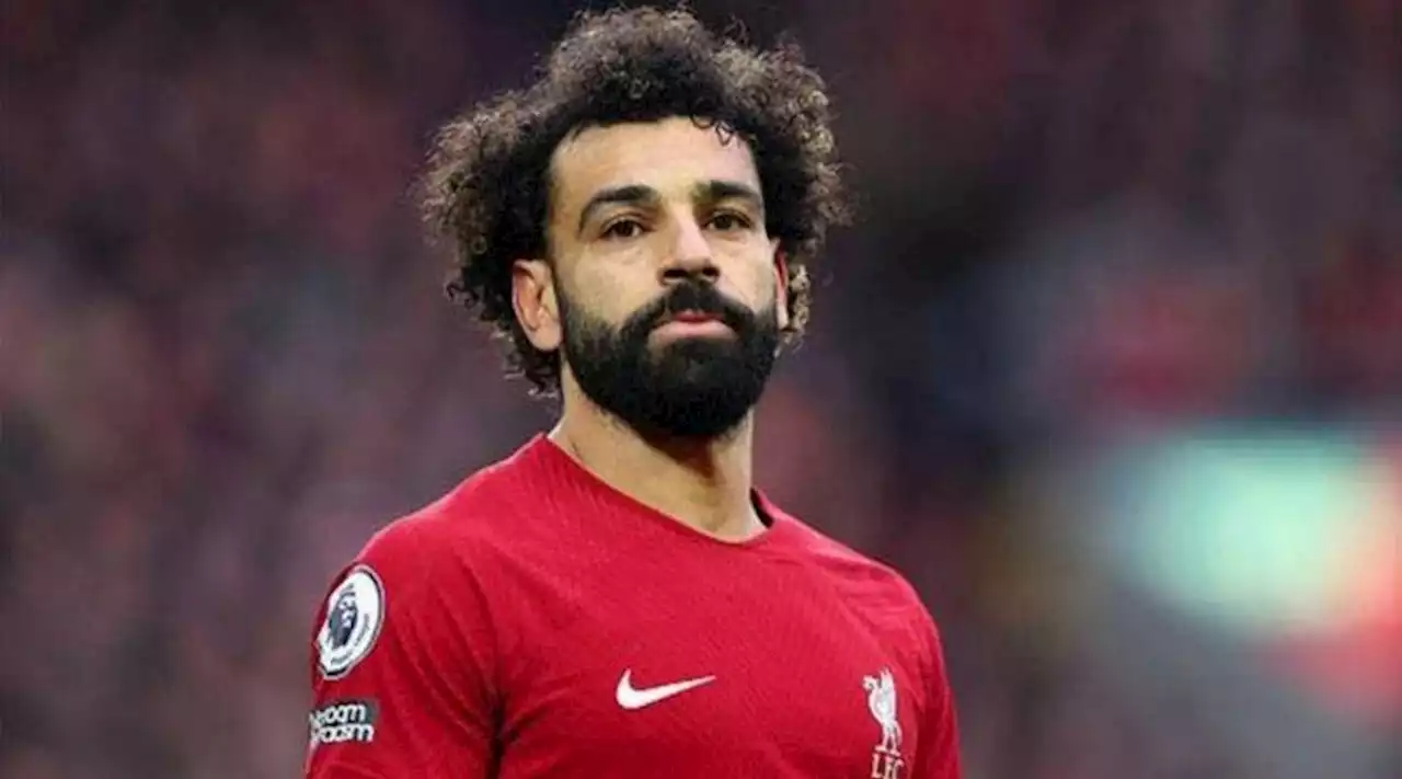 محمد صلاح مقرر دراسي في هارفارد.. ما القصة؟