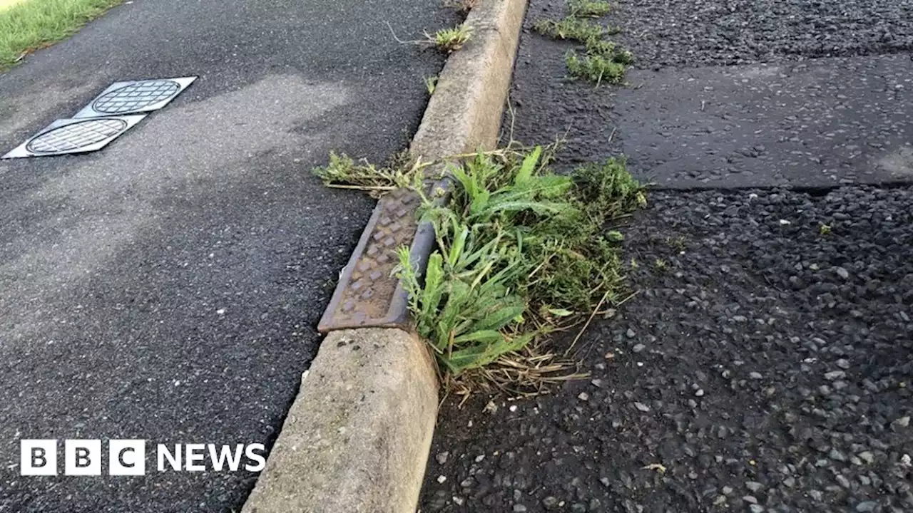 Manea councillor blames flooding on weed maintenance