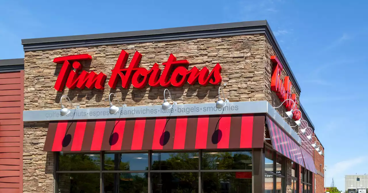 Rats run rampant at Ontario university Tim Hortons