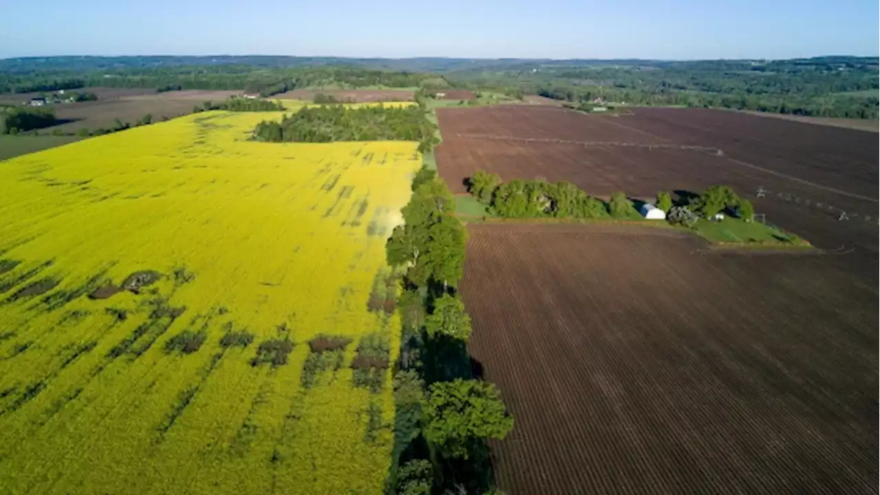 Average farmland value rises nearly 7% in 2018, but growth slowing: Study