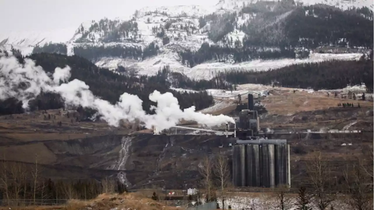 Head of Alberta commission on Rocky Mountain coal mining concerned over new applications