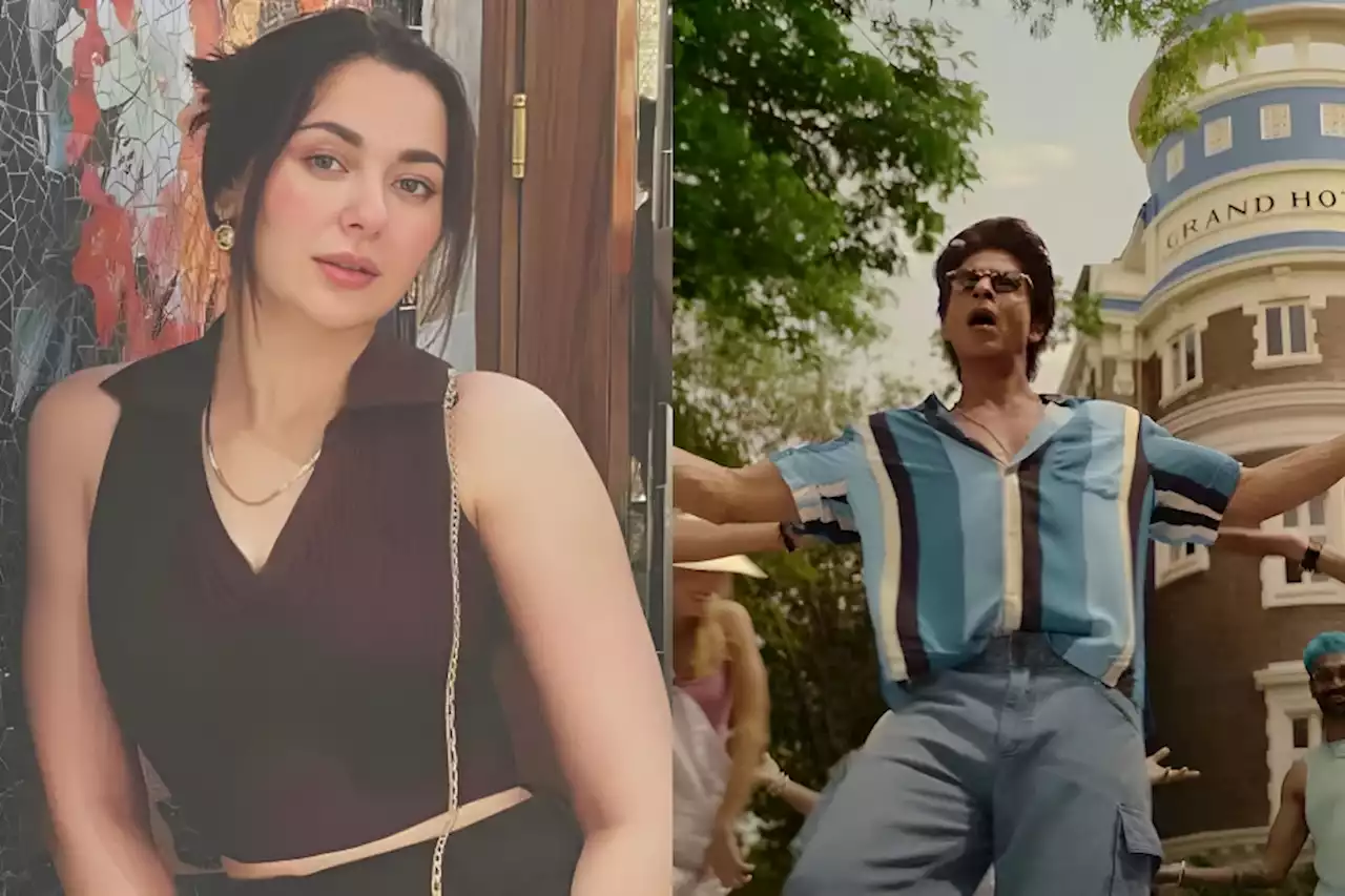 SRK's Fan Girl Hania Aamir Shakes Leg On 'Jawan' Song 'Challeya'