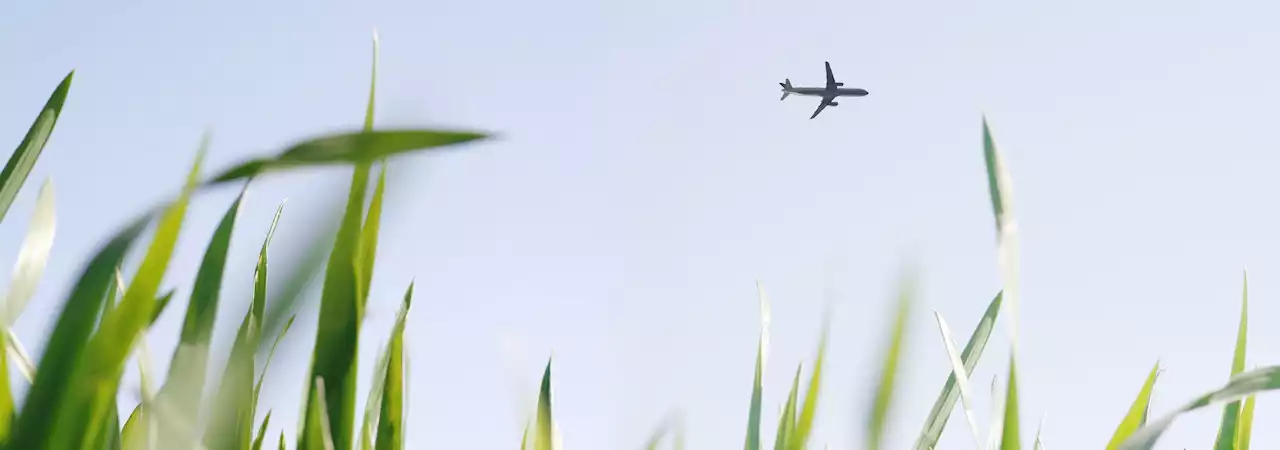 'Grünes Fliegen': Wie Luftfahrt klimafreundlicher werden kann