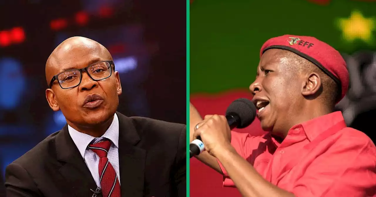 'EFF will lose seats': SA shuts down Manyi's EFF election victory prediction