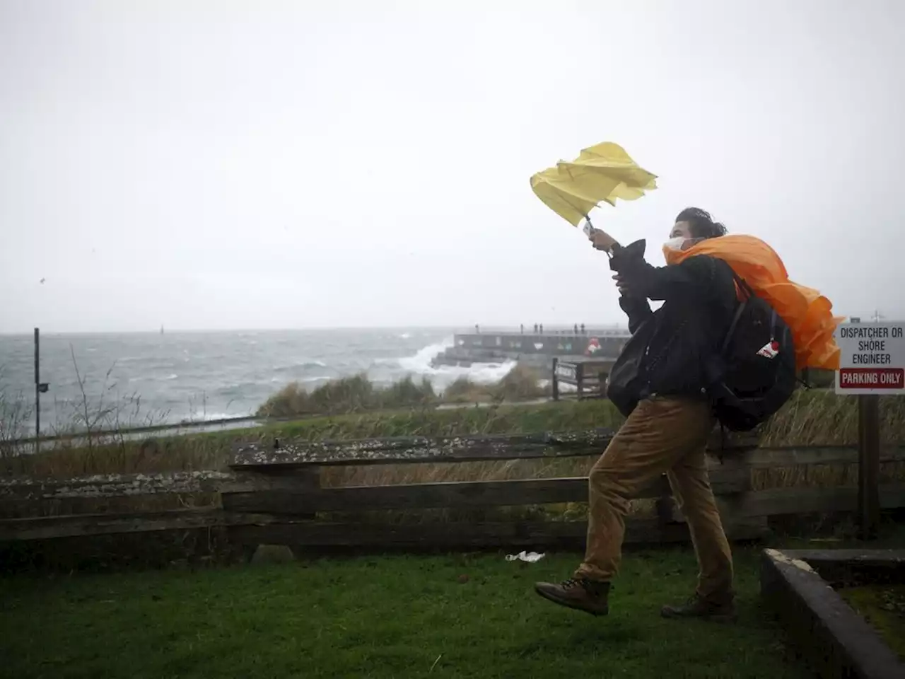 Environment Canada warns of gusts, heavy rain in forecast for parts of B.C. coast