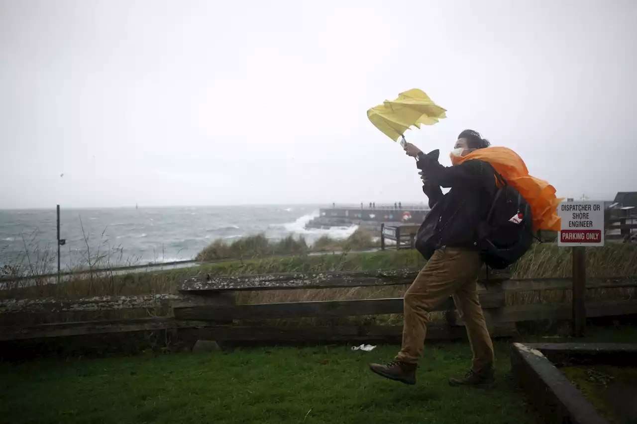 Environment Canada warns of gusts, heavy rain in forecast for parts of B.C. coast