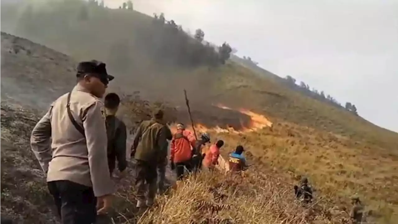 Negara Rugi Rp89 M Gara-Gara Bromo Kebakaran, Ini Rinciannya