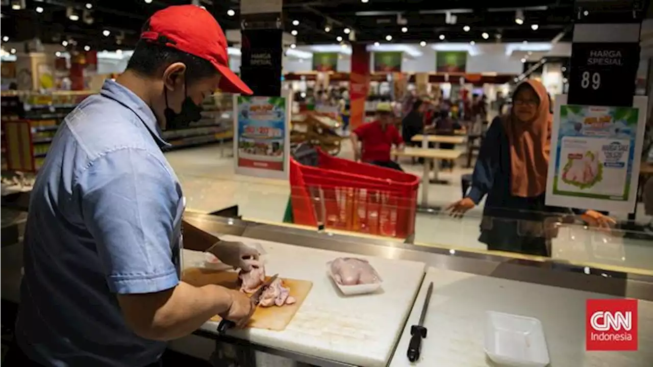 Ayam Broiler Mulai Rp20 Ribuan Per Ekor di Transmart Full Day Sale