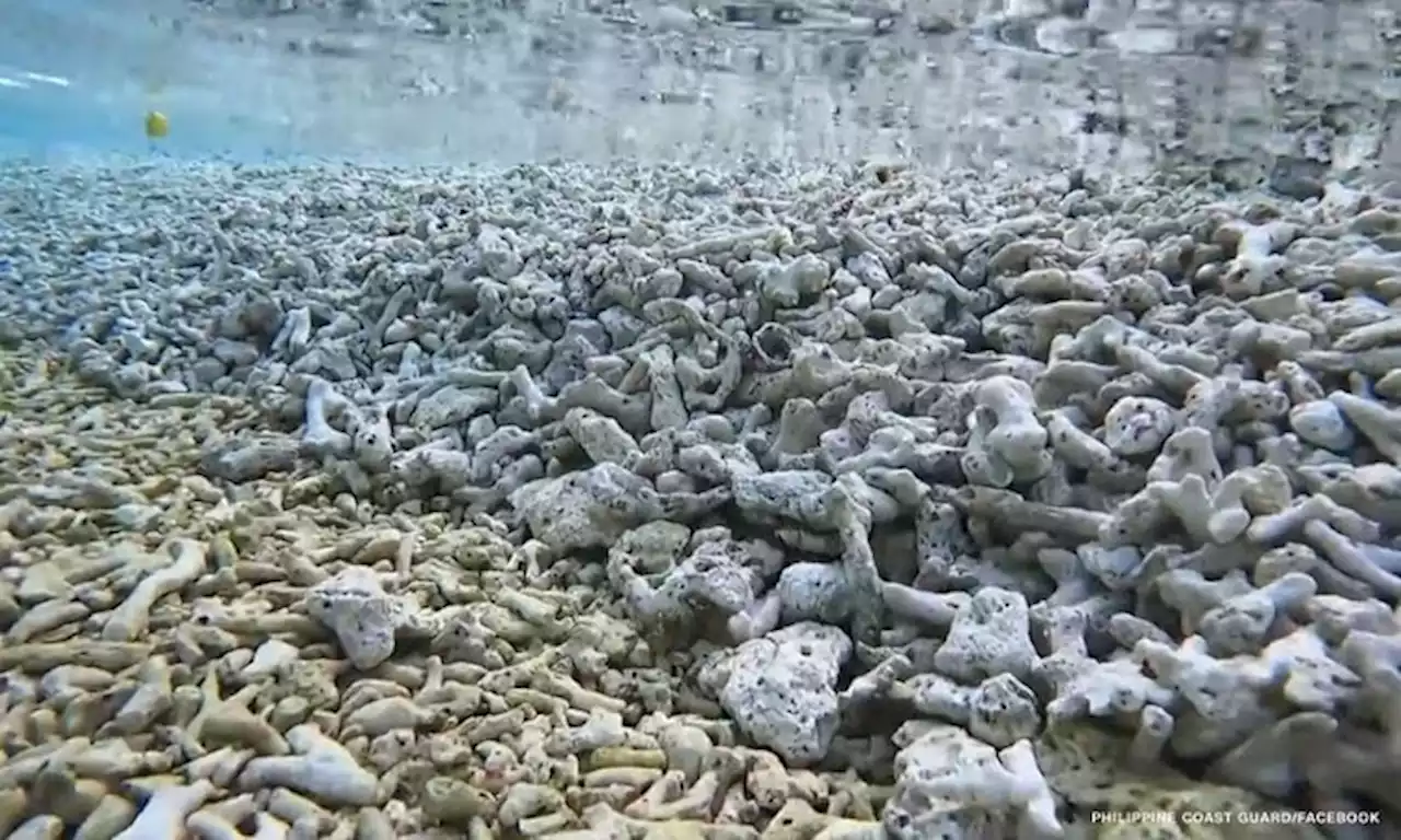 NSC probing reports of crushed corals in another part of WPS