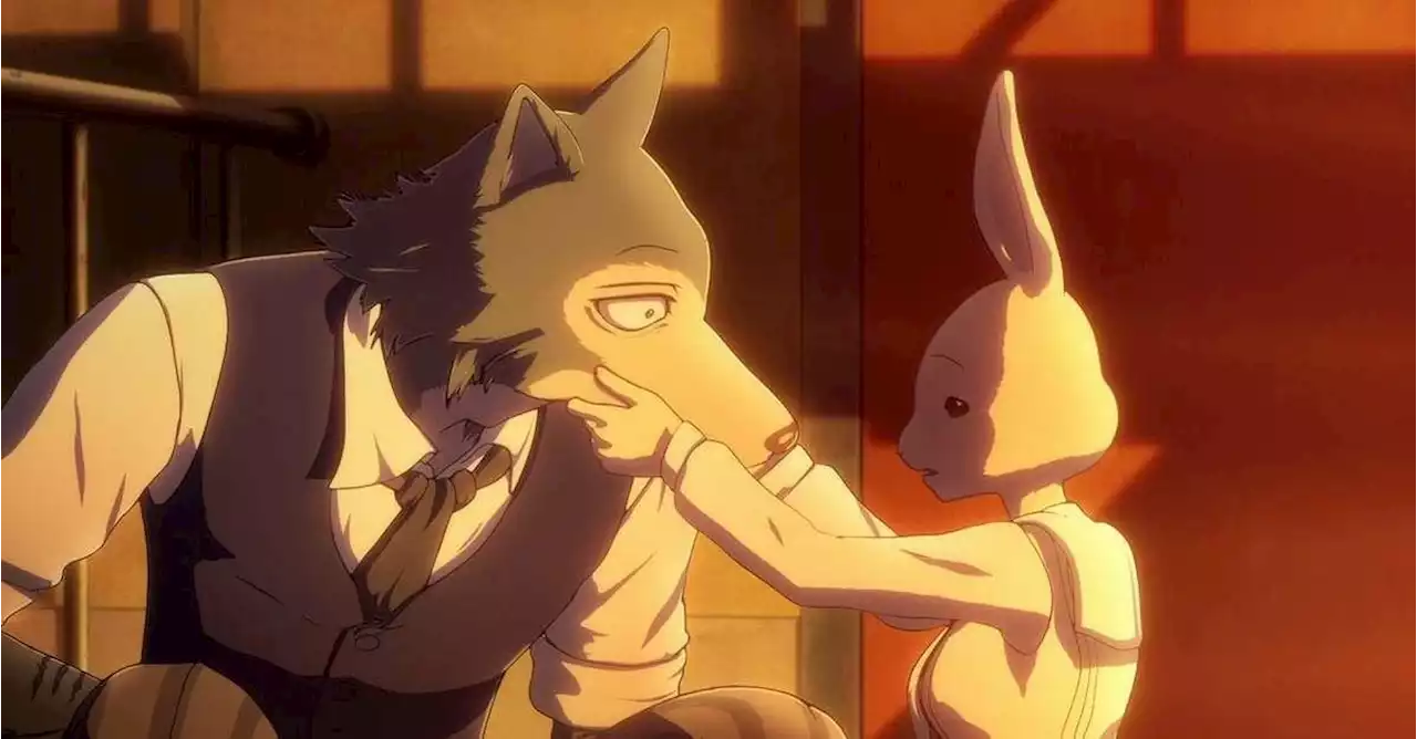 Beastars Creator Announces Marriage With Gorgeous Photo