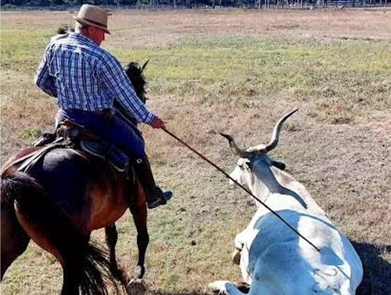 «Noi, cowboys della Maremma»: parola di Stefano, l’ultimo re dei butteri