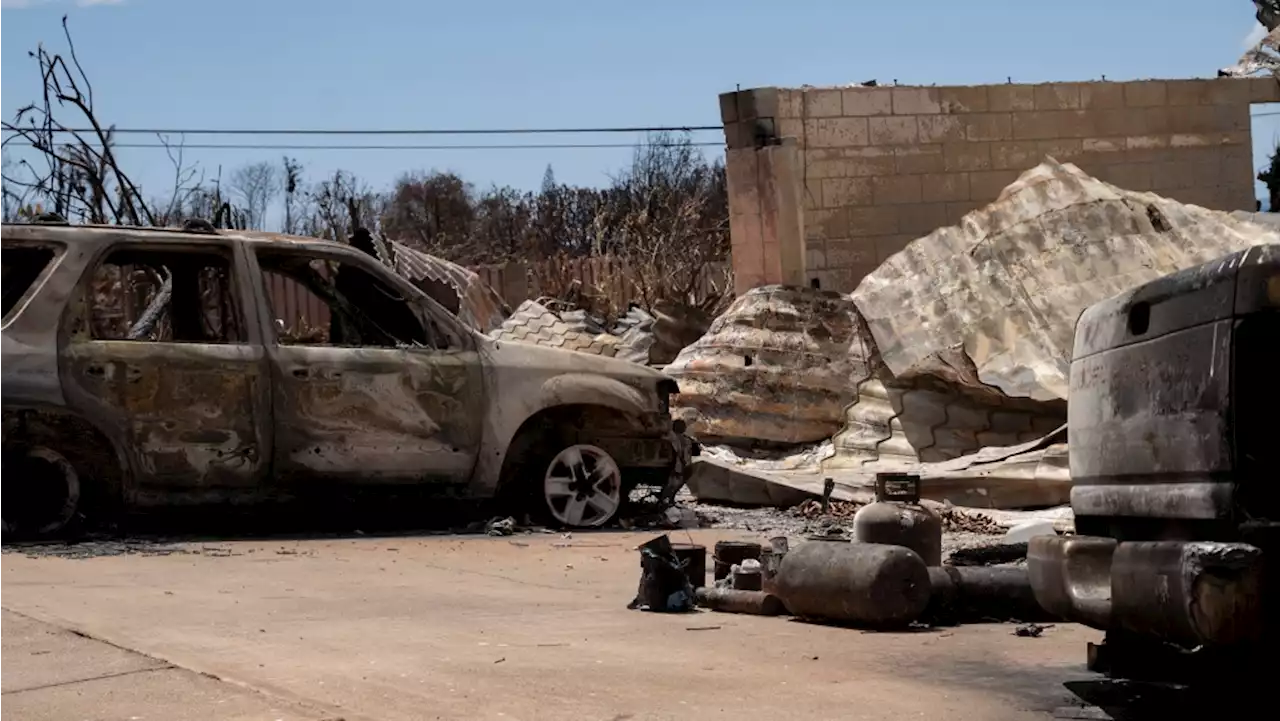 Residents prepare to return to sites of homes demolished in Lahaina wildfire 7 weeks ago