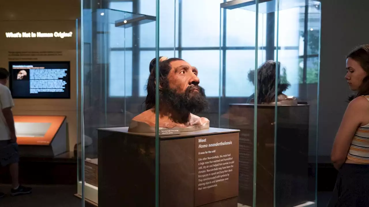 We carry DNA from extinct cousins like Neanderthals. Science is now revealing their genetic legacy