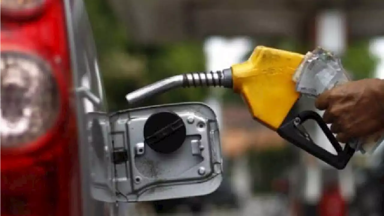 Subsidy Removal: Rise in fuel price presents biofuels as viable option