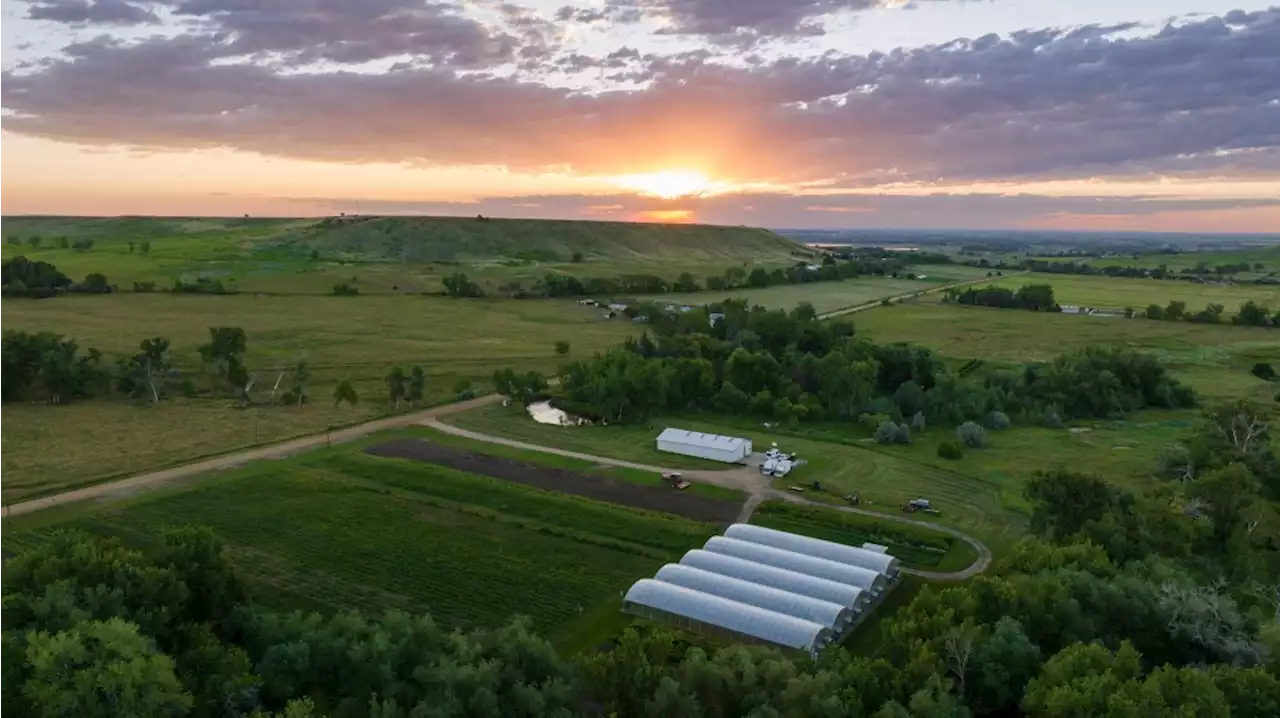 Want to own a flower farm? Colorado’s largest flower producer to hit market for almost $10M