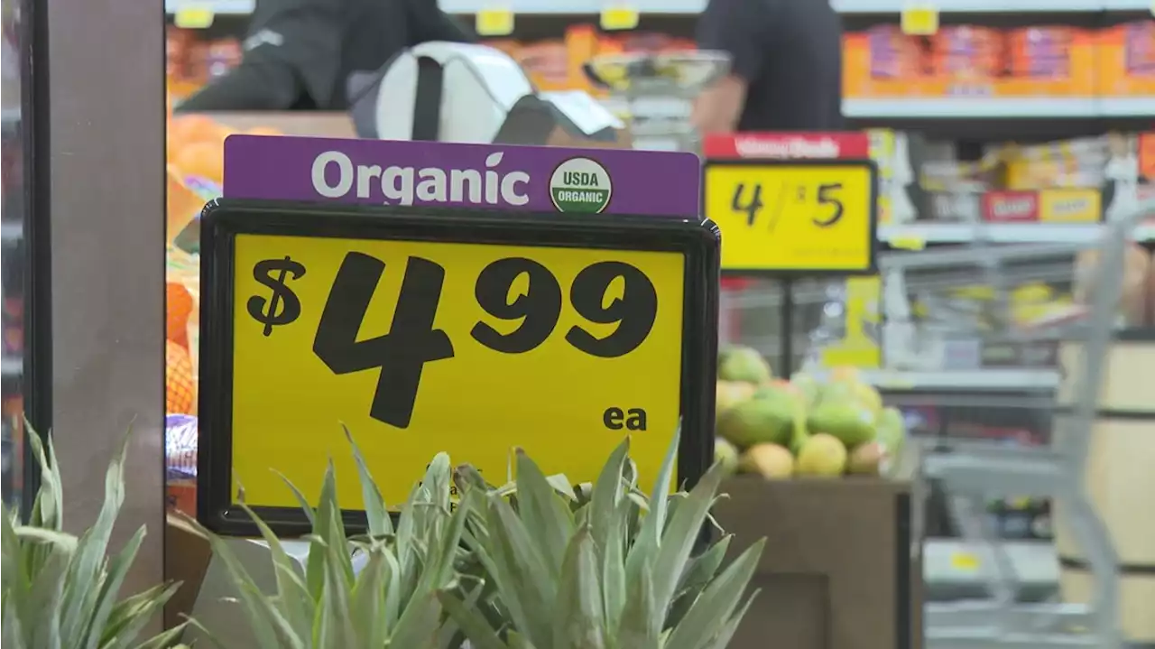 Arlington community celebrates as new grocery store provides options for fresh produce