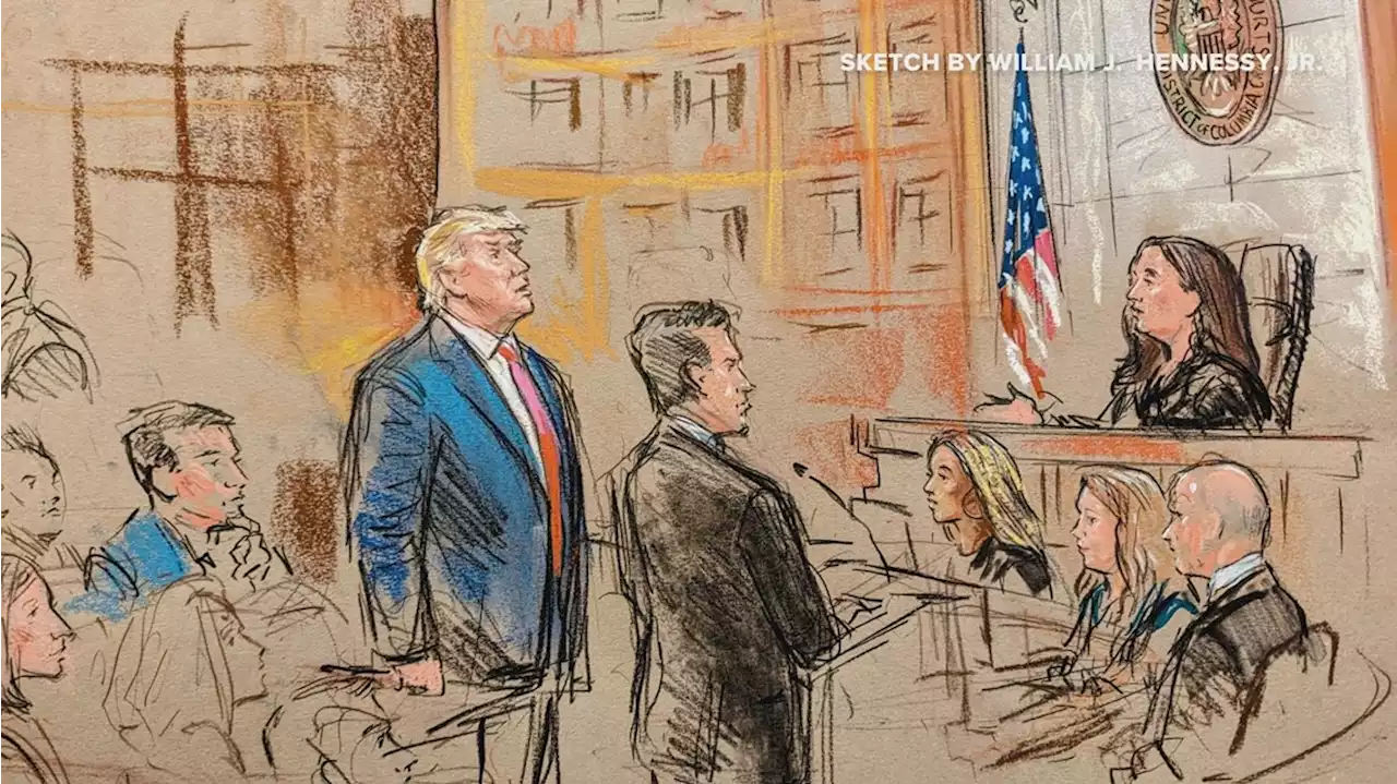 Former President Donald Trump pleads 'not guilty' to all charges in DC federal court