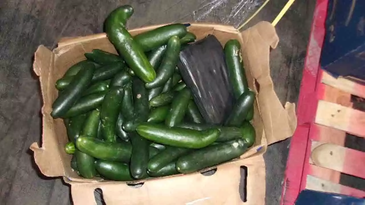 California border officers arrest Mexican man hiding 400 pounds of cocaine in cucumber shipment