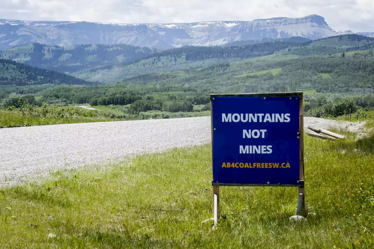 Head of Alberta commission on Rocky Mountain coal mining concerned over new applications