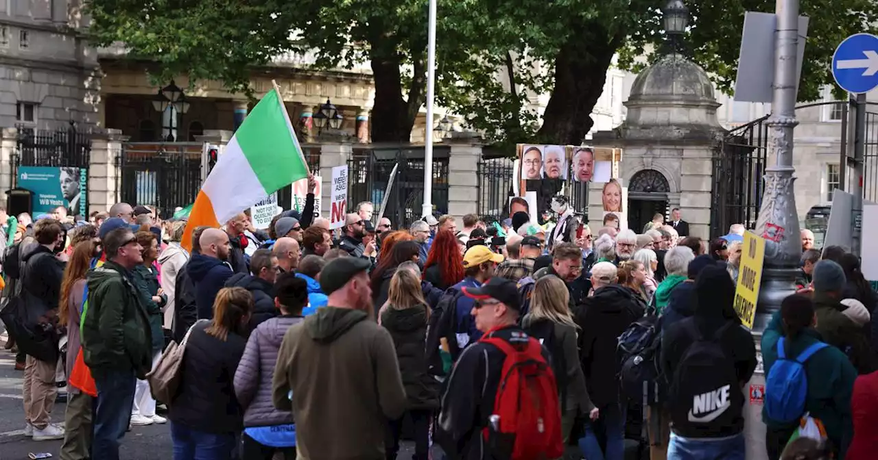 One Garda injured during far-right Leinster House protest, policing committee hears