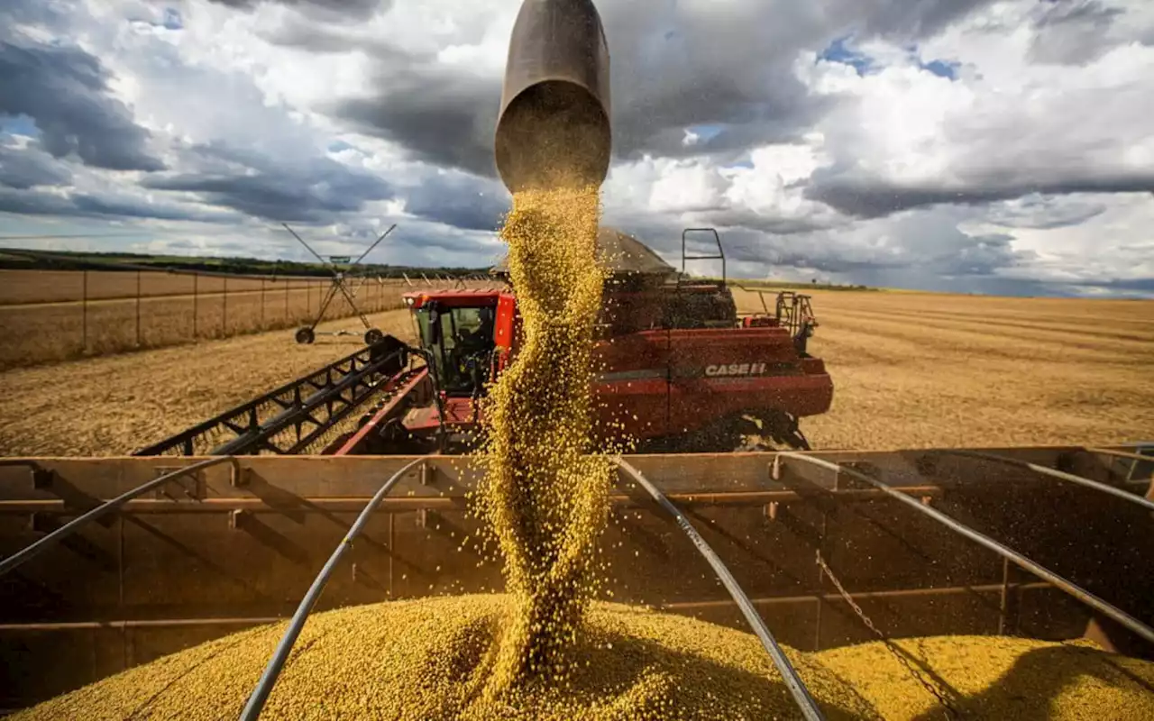 Brasil se consolida como o maior exportador agrícola do mundo | Economia