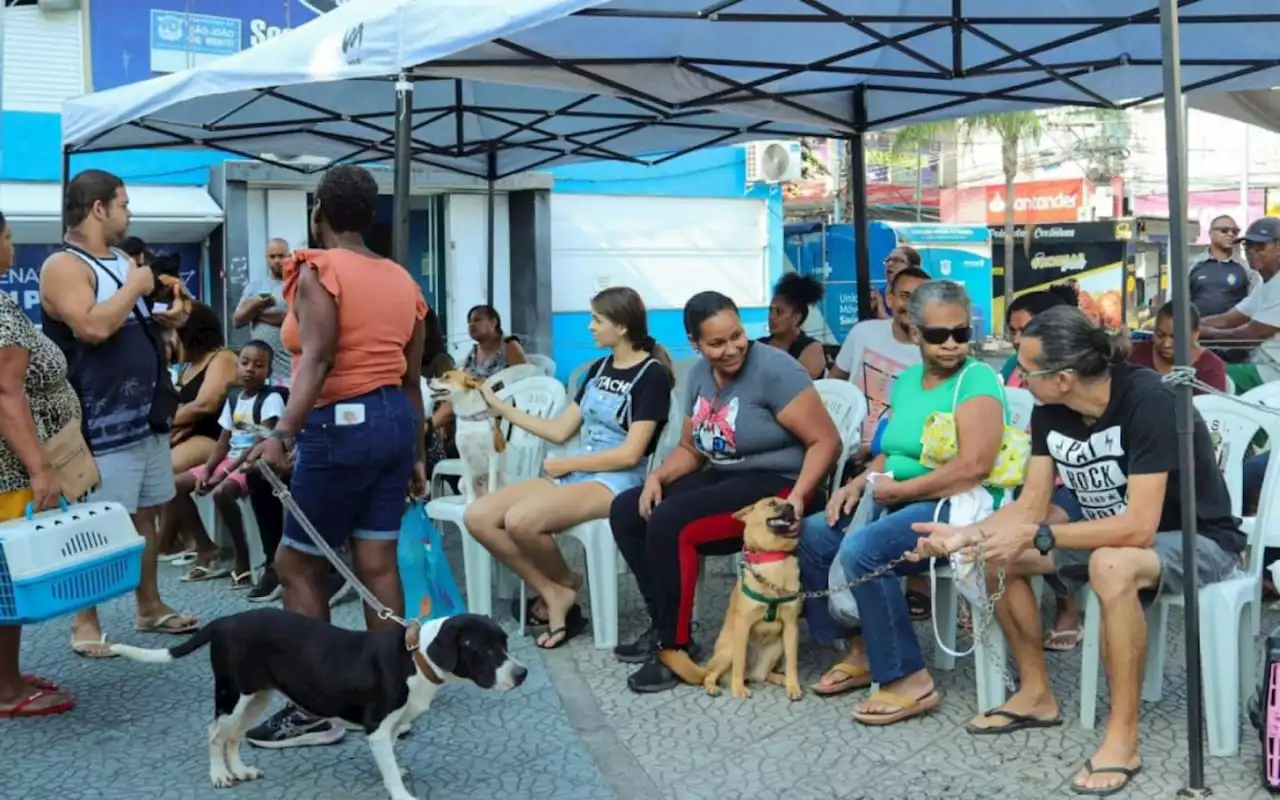 São João de Meriti tem programa de castração gratuita prorrogado até sexta-feira | Rio de Janeiro