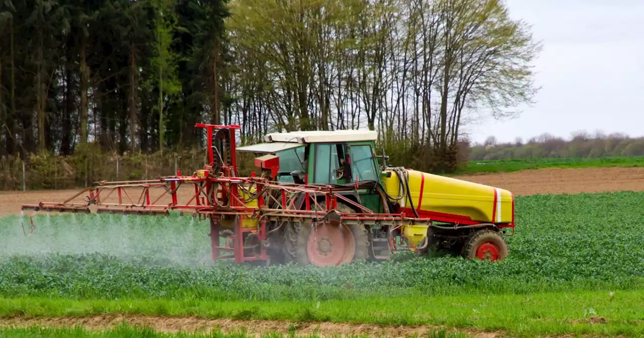 Glyphosat: Österreich wird gegen EU-Neuzulassung stimmen