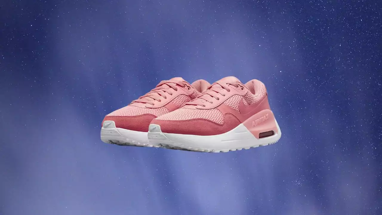 Baskets Nike Air Max : ne manquez pas ce bon plan de -30%