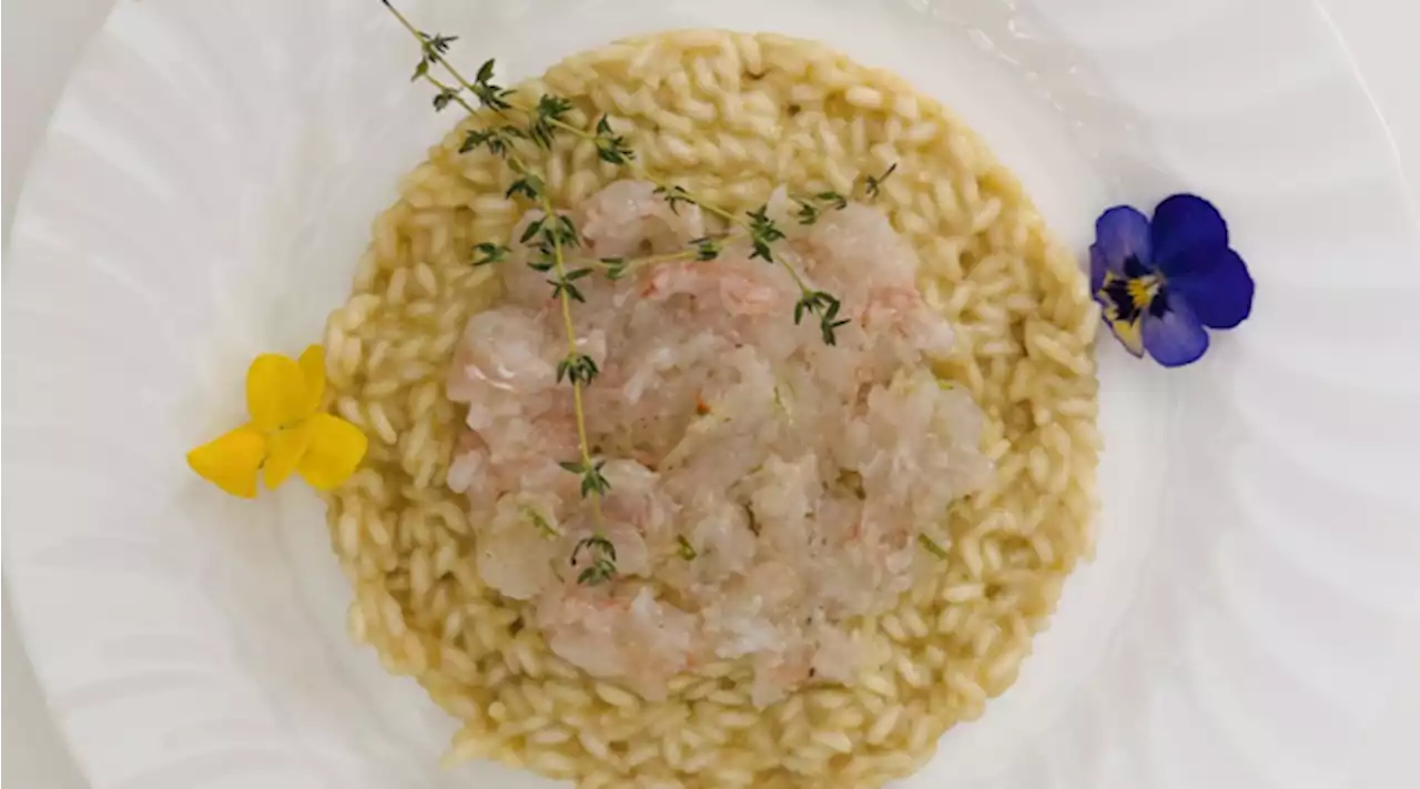 Risotto Carnaroli mantecato al limone con battuta di scampi