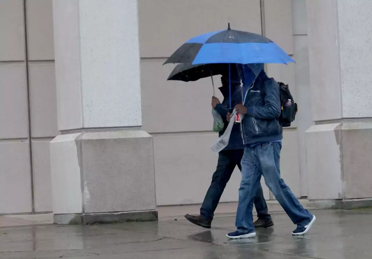 Bay Area expected to get first ‘significant rainfall’ since May