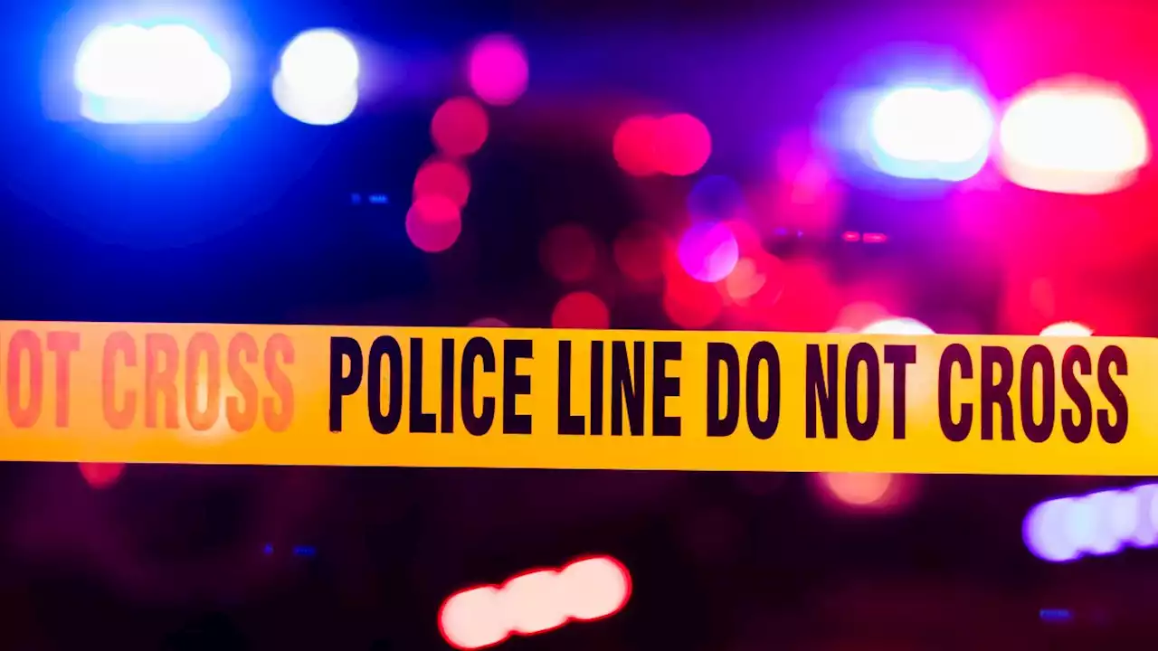 Officials: Montco man called FBI after killing mother, brother