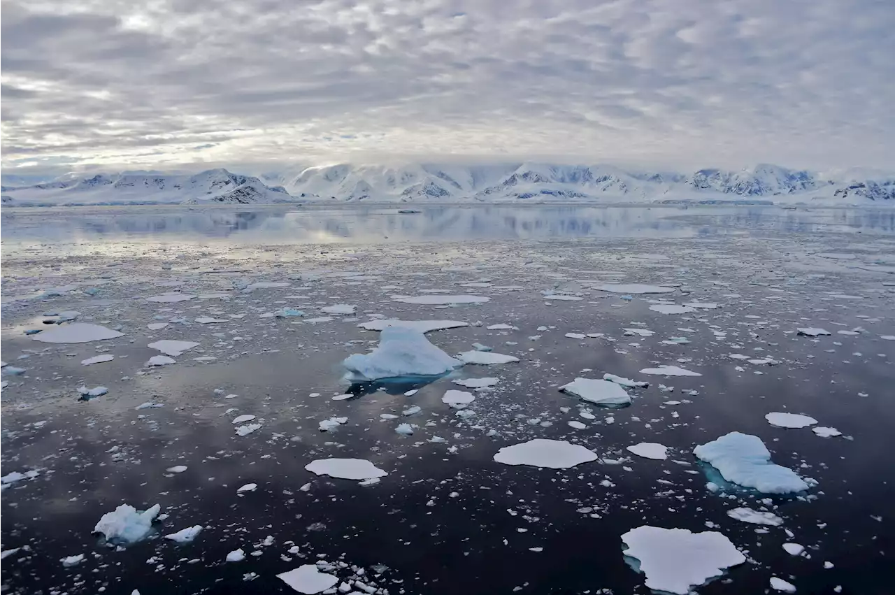 Scientists wear shorts in Antarctica during 'unbelievable' heat wave