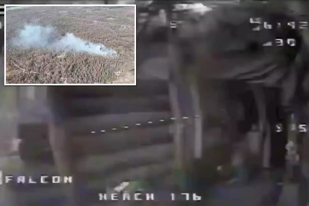 Hair-raising moment Ukrainian kamikaze drone flies into Russian forest hideout and explodes