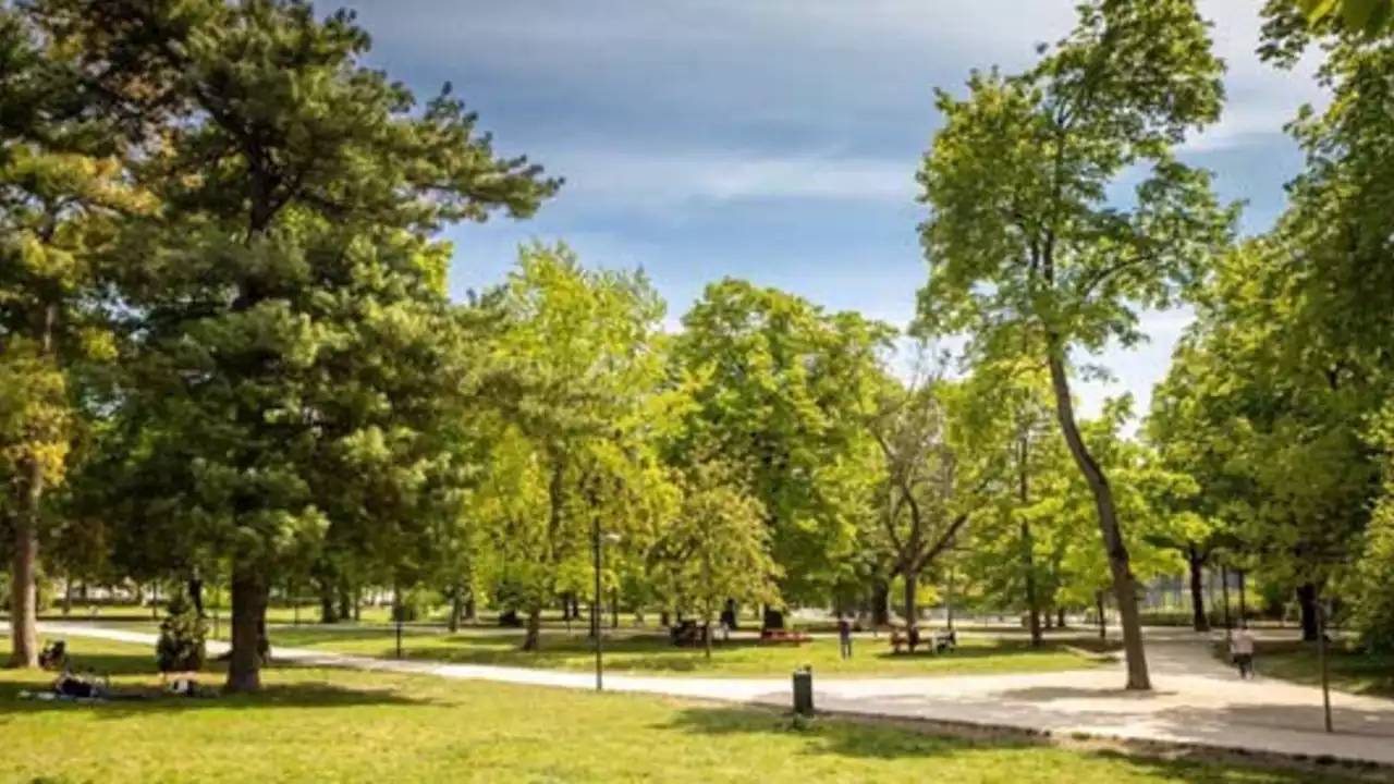 Messerattacke in Wiener Park